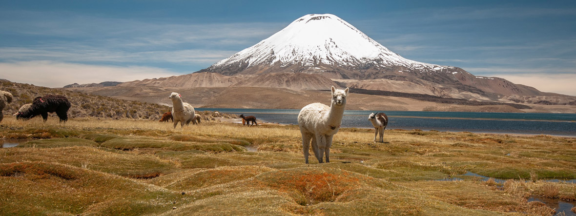 Chile